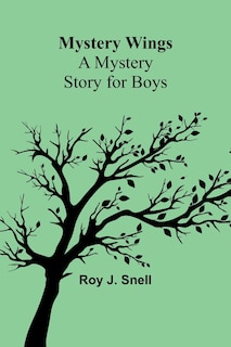 Front cover_Mystery Wings; A Mystery Story for Boys