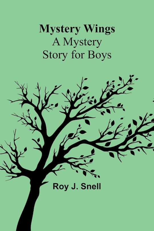 Front cover_Mystery Wings; A Mystery Story for Boys