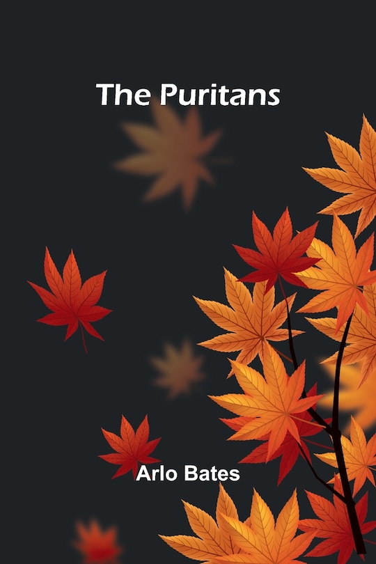 Front cover_The Puritans