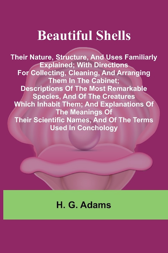 Front cover_Beautiful Shells