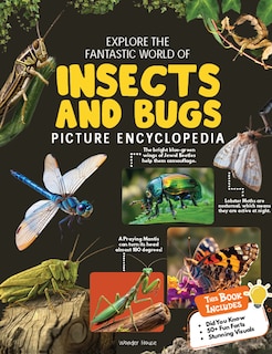 Couverture_Explore Fantastic World of Insects And Bugs Picture Encyclopedia