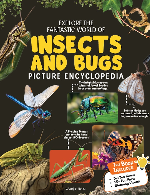 Couverture_Explore Fantastic World of Insects And Bugs Picture Encyclopedia