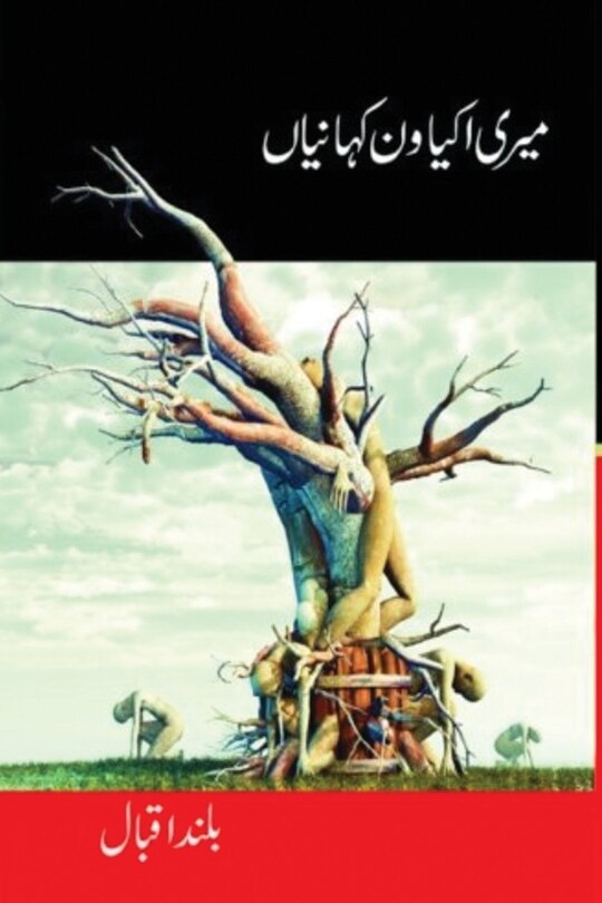 Couverture_میری اکیاون کہانیاں