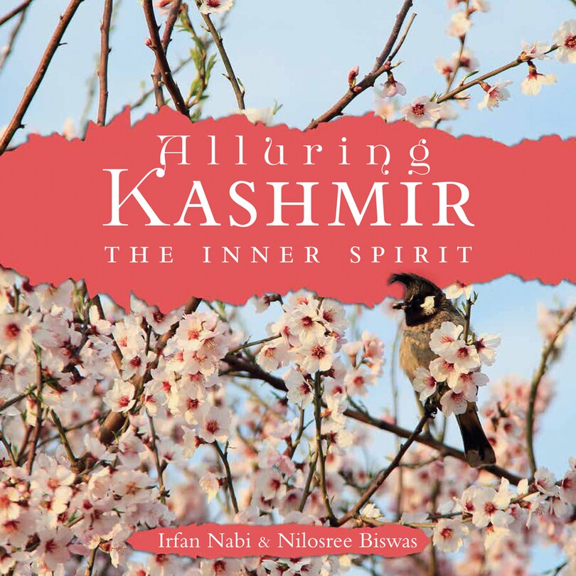 Front cover_Alluring Kashmir