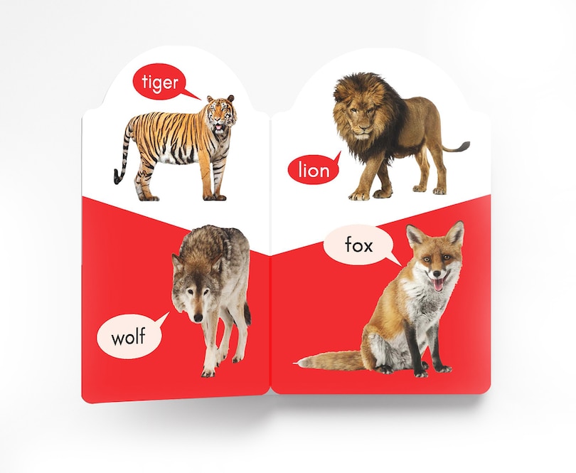 Front cover_My Early Learning Book of Wild Animals