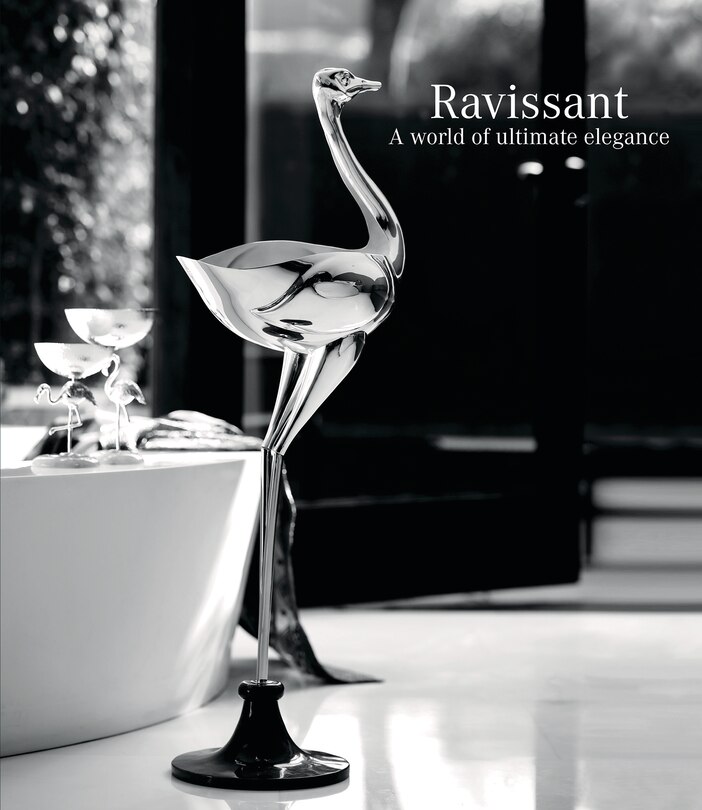 Couverture_Ravissant