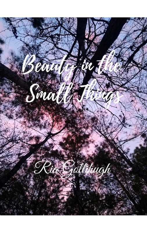 Front cover_Beauty in the Small Things