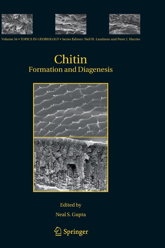 Chitin: Formation and Diagenesis