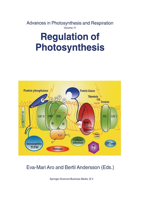Couverture_Regulation Of Photosynthesis