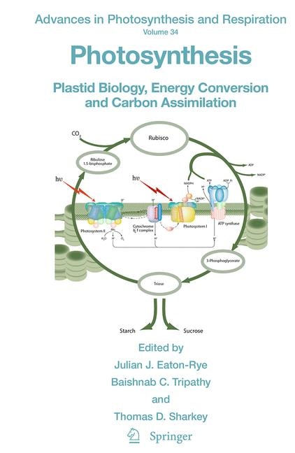 Front cover_Photosynthesis