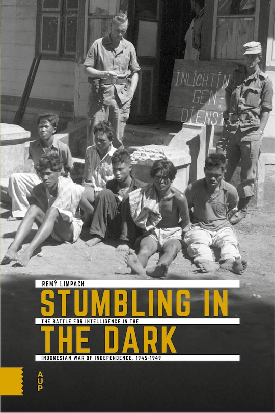 Front cover_Stumbling in the Dark