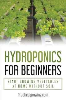 Hydroponics for Beginners: Start Growing Vegetables at Home Without Soil