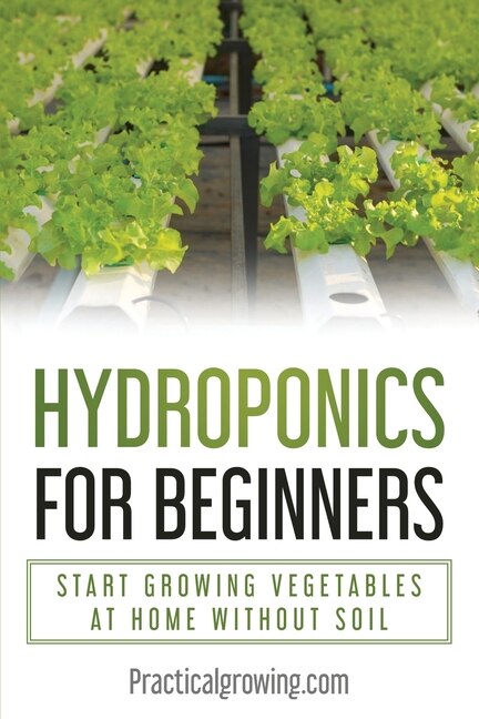 Hydroponics for Beginners: Start Growing Vegetables at Home Without Soil