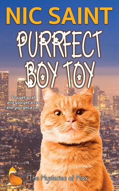 Front cover_Purrfect Boy Toy