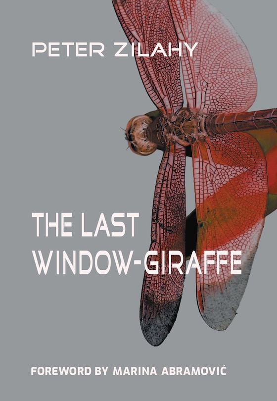 Front cover_The Last Window-Giraffe