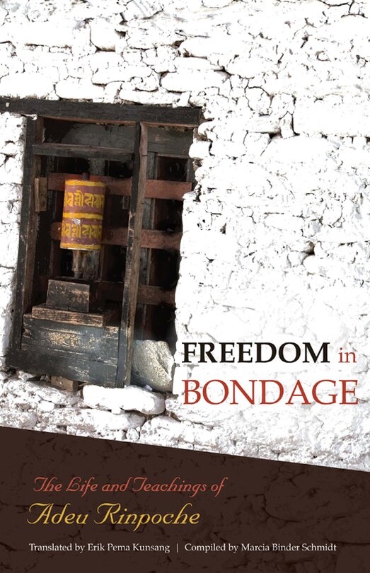 Couverture_Freedom In Bondage