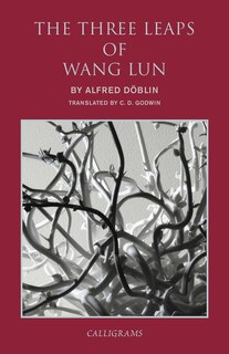 Front cover_The Three Leaps Of Wang Lun