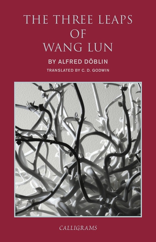 Front cover_The Three Leaps Of Wang Lun
