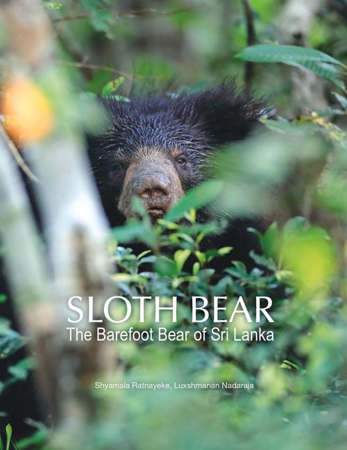 Couverture_Sloth Bear