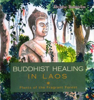 Buddhist Healing In Laos: The Fragrant Forest: The Fragrant Forest