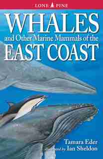 Whales and Other Marine Mammals of the East Coast by Tamara Eder