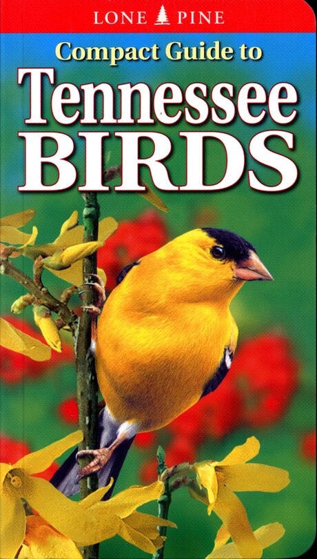 Front cover_Compact Guide to Tennessee Birds
