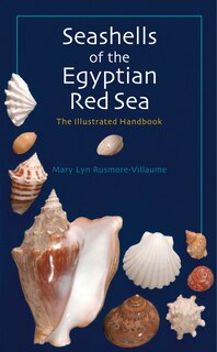 Front cover_Seashells of the Egyptian Red Sea