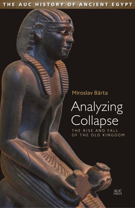 Couverture_Analyzing Collapse