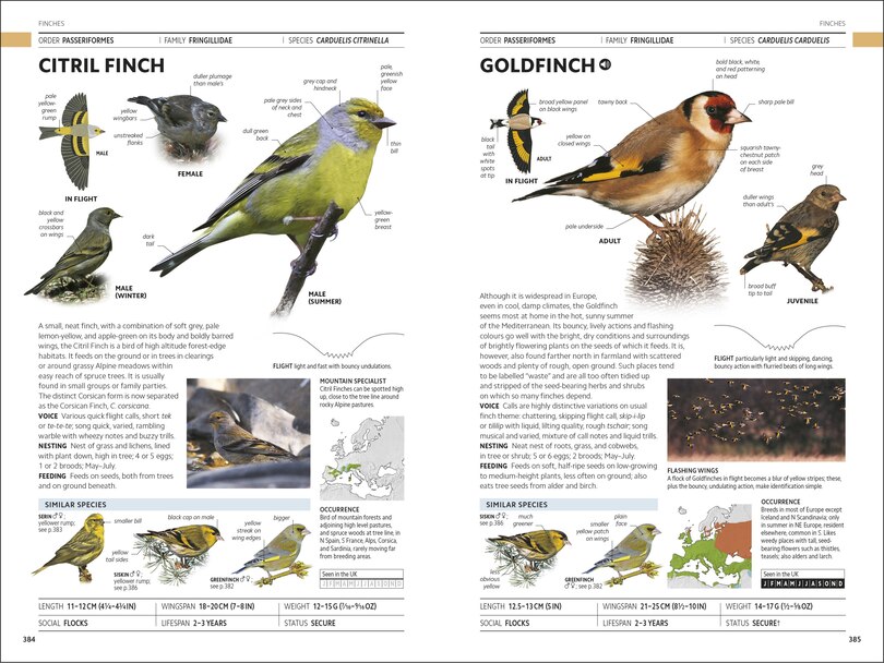 Sample content_RSPB Birds of Britain and Europe