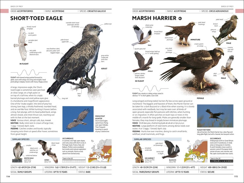 Sample content 2_RSPB Birds of Britain and Europe