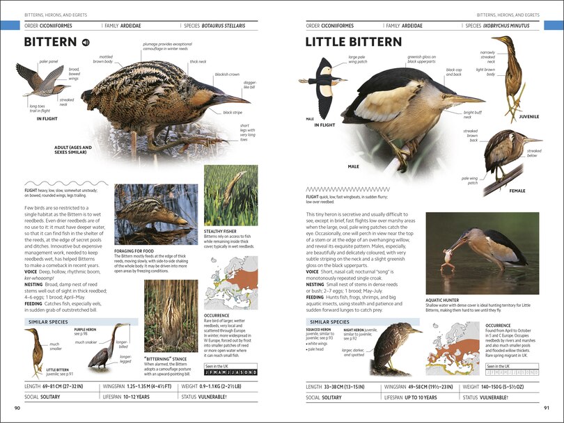 Sample content 3_RSPB Birds of Britain and Europe