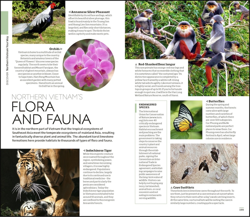 Sample content 3_DK Vietnam