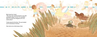 Sample content 3_Turtle Slept In