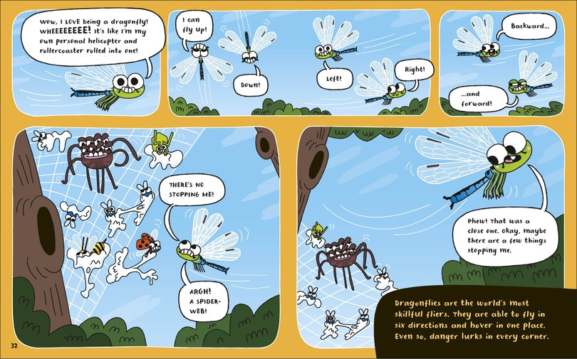 Aper&ccedil;u du contenu 3_How to be a Dragonfly (in association with the Royal Entomological Society)