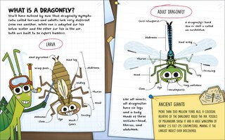 Aper&ccedil;u du contenu 4_How to be a Dragonfly (in association with the Royal Entomological Society)