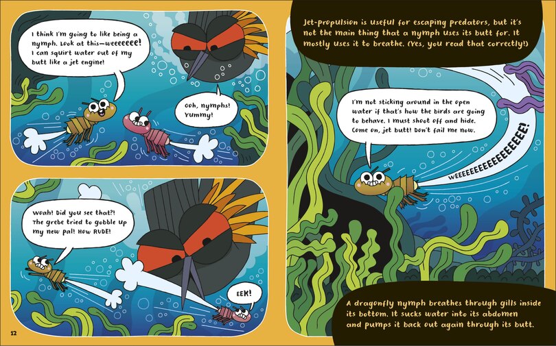 Aper&ccedil;u du contenu 5_How to be a Dragonfly (in association with the Royal Entomological Society)