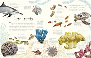 Sample content_An Anthology of Aquatic Life