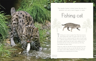 Sample content 4_An Anthology of Aquatic Life