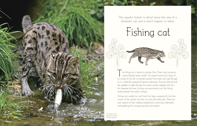 Sample content 4_An Anthology of Aquatic Life