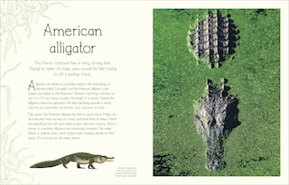Sample content 5_An Anthology of Aquatic Life