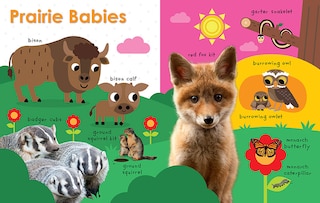 Sample content_My First Canadian: Baby Animals