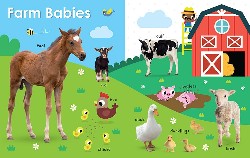Sample content 2_My First Canadian: Baby Animals