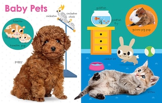 Sample content 3_My First Canadian: Baby Animals
