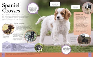 Sample content_CHILDRENS ENCY OF DOGS