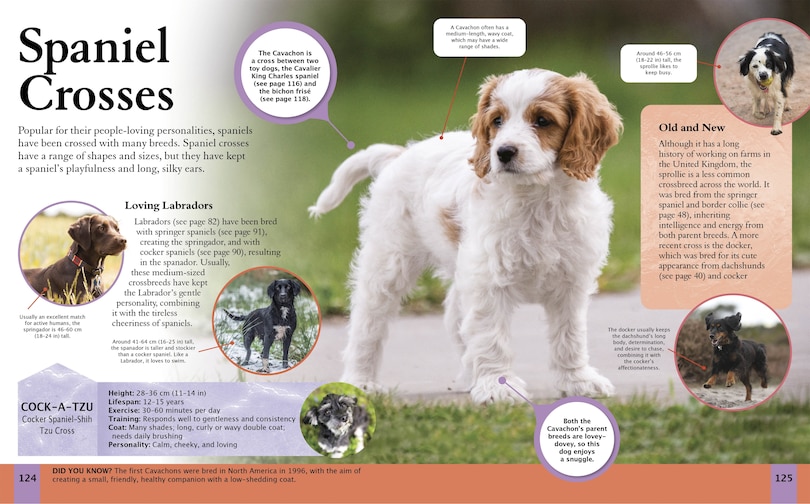 Sample content_CHILDRENS ENCY OF DOGS