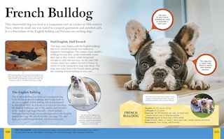 Sample content 2_CHILDRENS ENCY OF DOGS