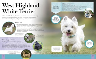 Sample content 3_CHILDRENS ENCY OF DOGS