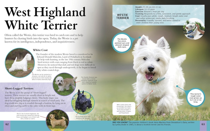 Sample content 3_CHILDRENS ENCY OF DOGS