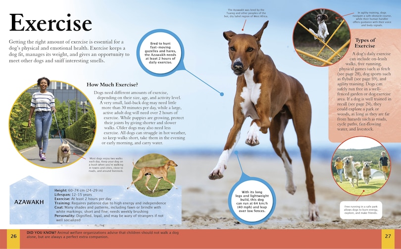 Sample content 4_CHILDRENS ENCY OF DOGS