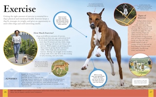 Sample content 5_CHILDRENS ENCY OF DOGS